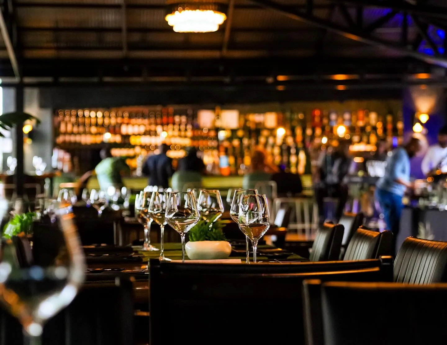 The bar at Kultura, warmly lit, bottles ranged behind it